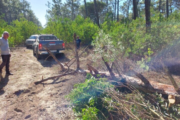Portugal, Costa Atlántica