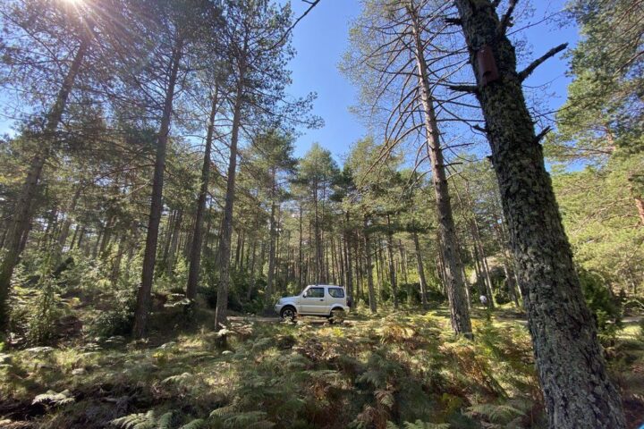 Trans Catalana 4x4 Origen